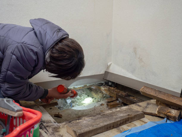 Best Crawl Space Mold Remediation  in Ocean Pointe, HI