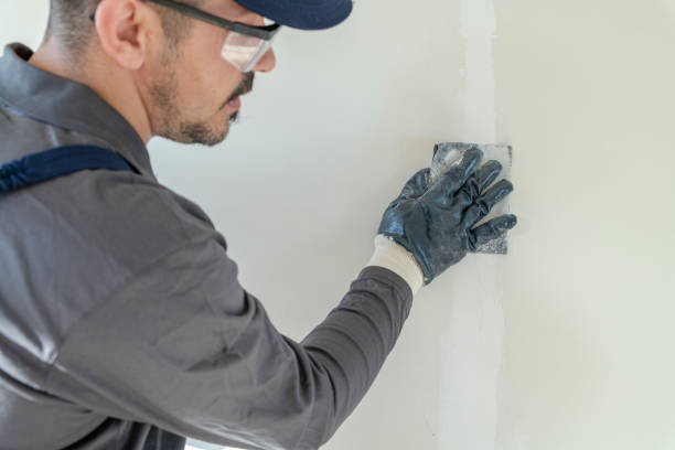Best Mold Documentation for Insurance Claims  in Ocean Pointe, HI