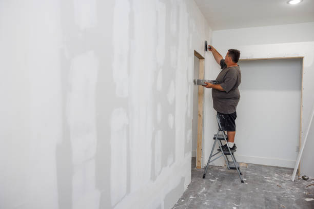 Best Mold Damage Restoration  in Ocean Pointe, HI