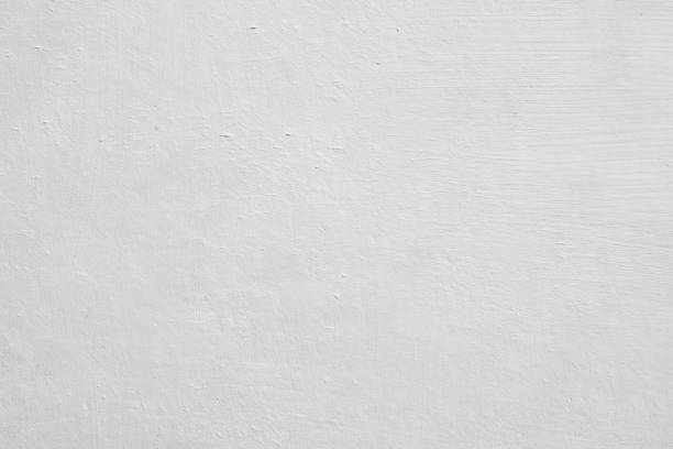 Best Commercial Mold Inspection  in Ocean Pointe, HI
