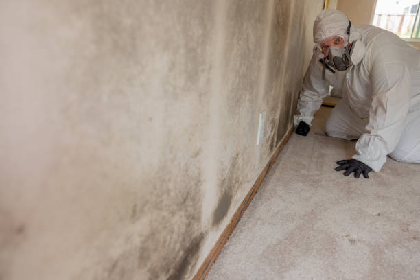 Best Industrial Mold Remediation  in Ocean Pointe, HI