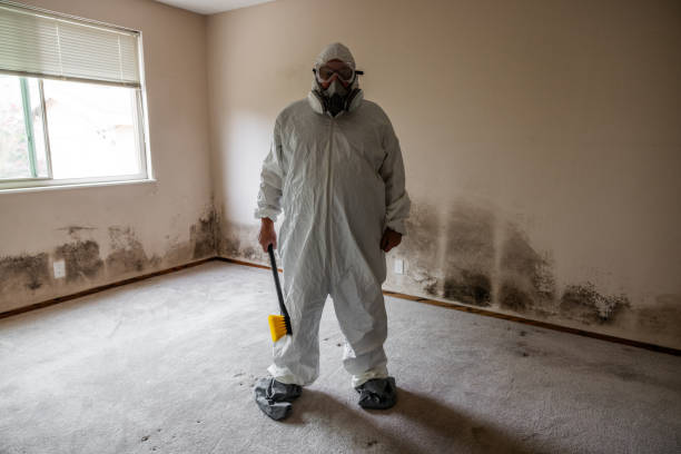 Best Mold Odor Removal Services  in Ocean Pointe, HI