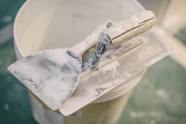 Asbestos and Lead Testing During Mold Inspection in Ocean Pointe, HI